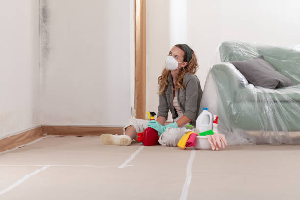 Reliable Commercial Mold Remediation contractor in Bath, MI by WQB Mold Removal